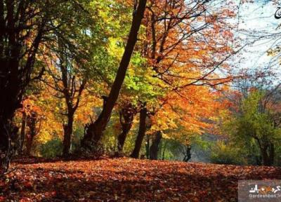 پارک جنگلی بزچفت یا بابلکنار؛ بهشت گمشده بابل، عکس پارک جنگلی بزچفت یا بابلکنار؛ بهشت گمشده بابل، عکس